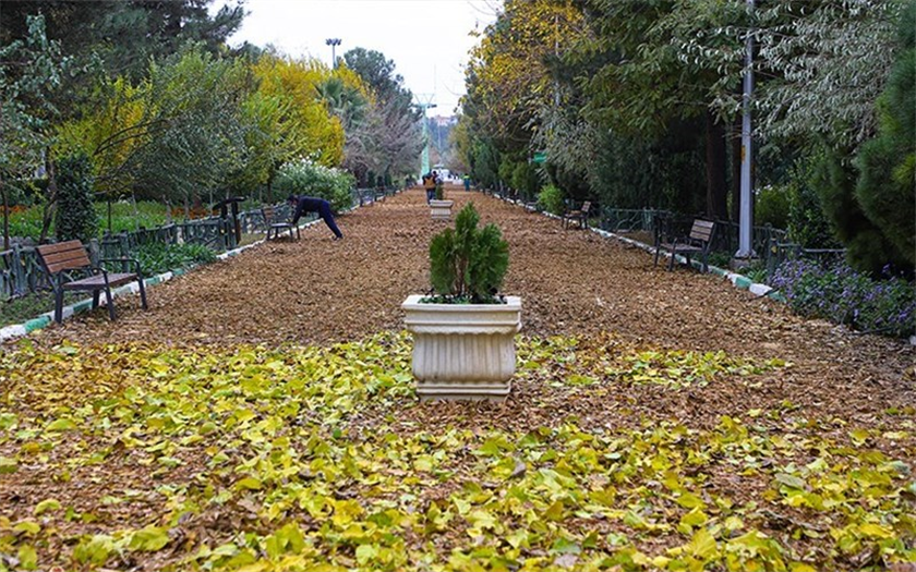 پرتال اداره کل هواشناسی استان قم